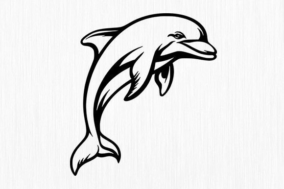 Download Dolphin Svg,Dolphin Circle Svg - Dolphin svg Collection